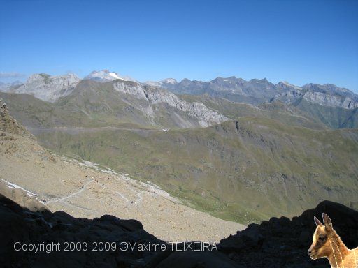 IMG_0703.JPG