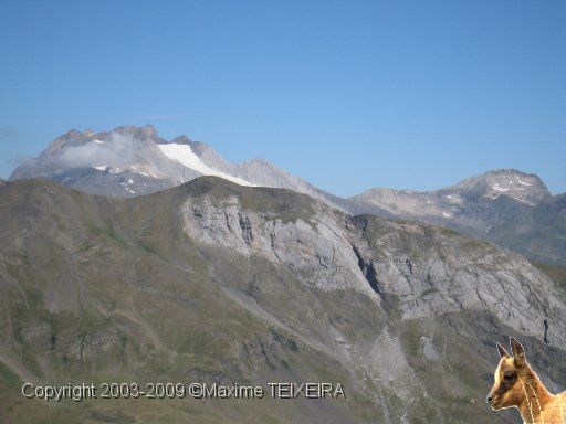 IMG_0704.JPG
