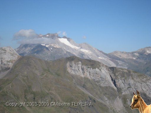 IMG_0721.JPG