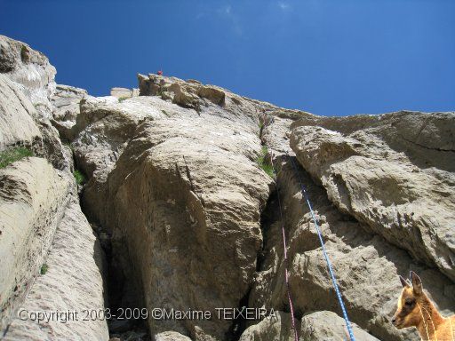 IMG_0799.JPG