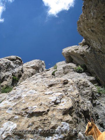 IMG_0840.JPG