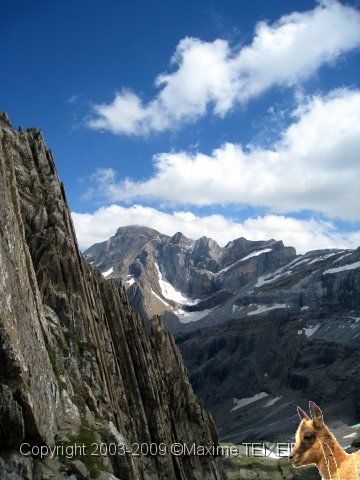 IMG_0853.JPG