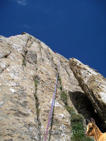 IMG_0870.JPG