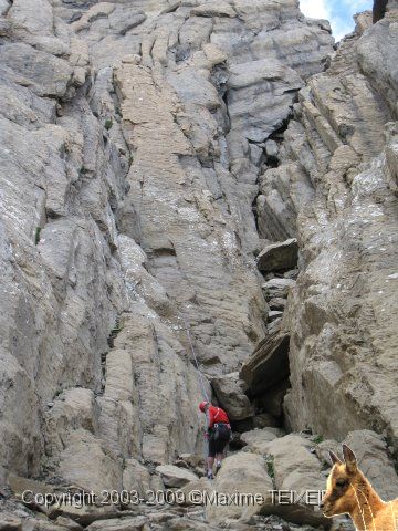 IMG_1005.JPG