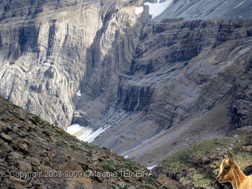 IMG_1020.JPG