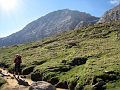 IMG_0685