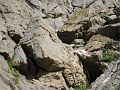 IMG_0737