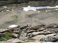 IMG_0843