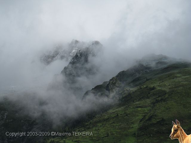20090718_094402.JPG