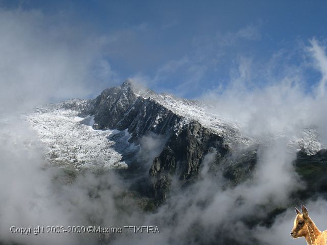 20090718_101800.JPG