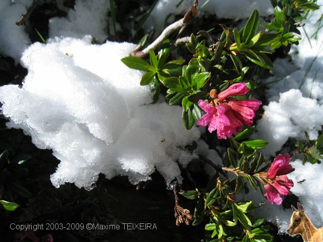 20090718_124951.JPG