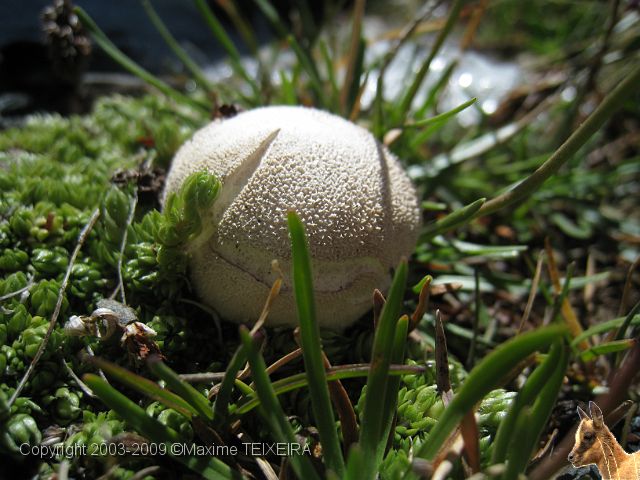 20090718_151958.JPG