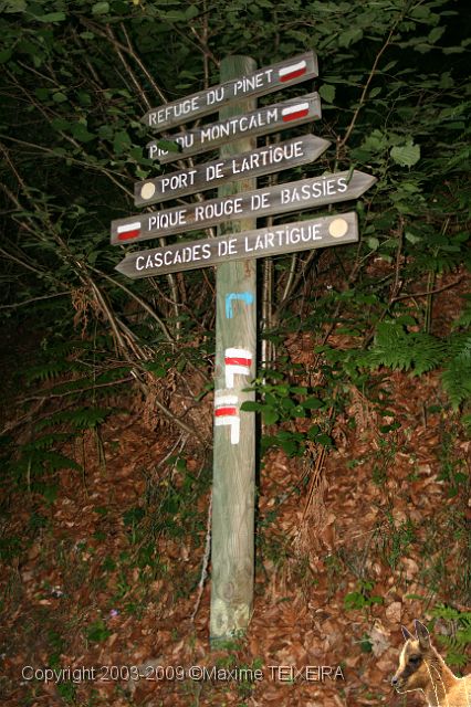 20090718_205852.JPG
