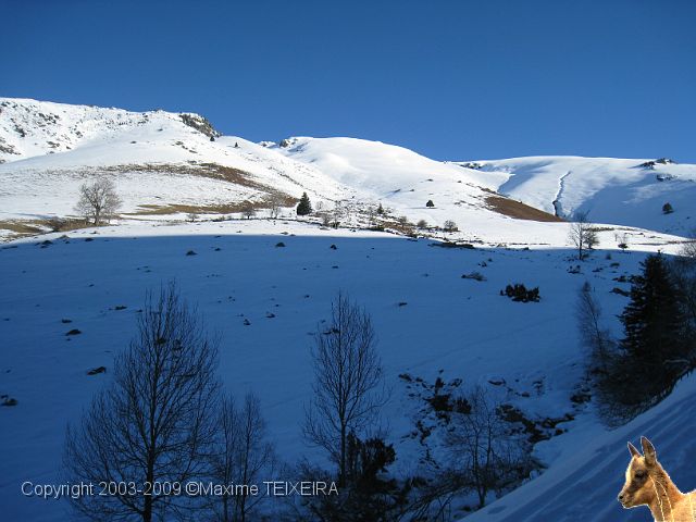 IMG_2370.JPG