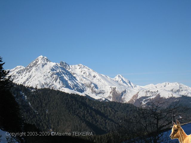 IMG_2373.JPG