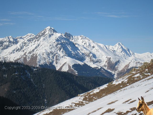 IMG_2389.JPG