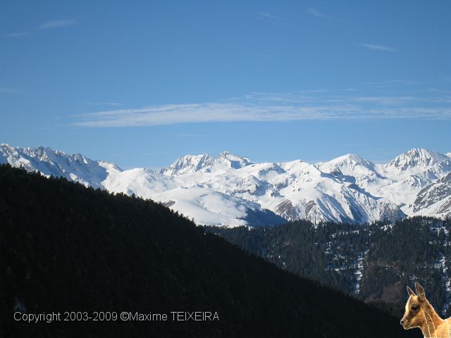 IMG_2390.JPG