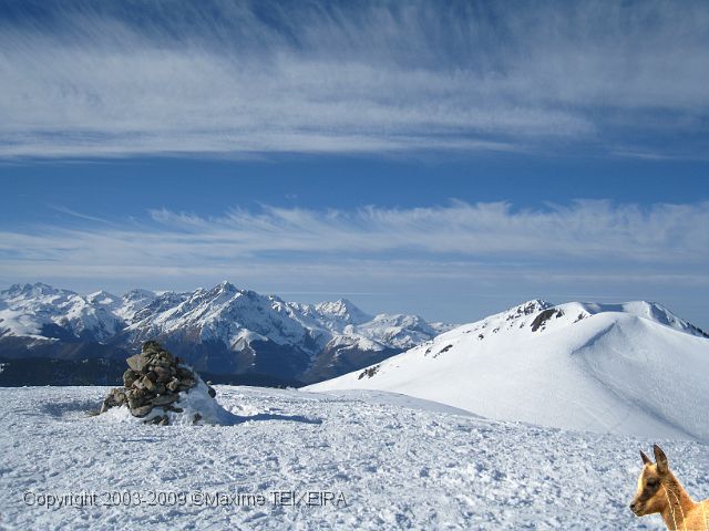 IMG_2461.JPG