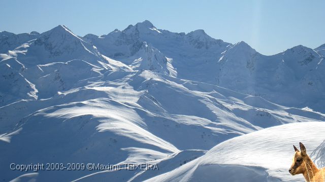 IMG_2462.JPG