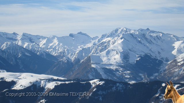 IMG_2467.JPG