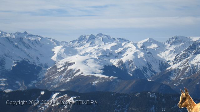 IMG_2468.JPG