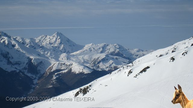 IMG_2470.JPG