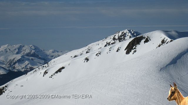 IMG_2471.JPG