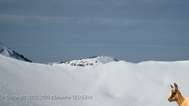IMG_2473.JPG