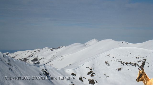 IMG_2475.JPG