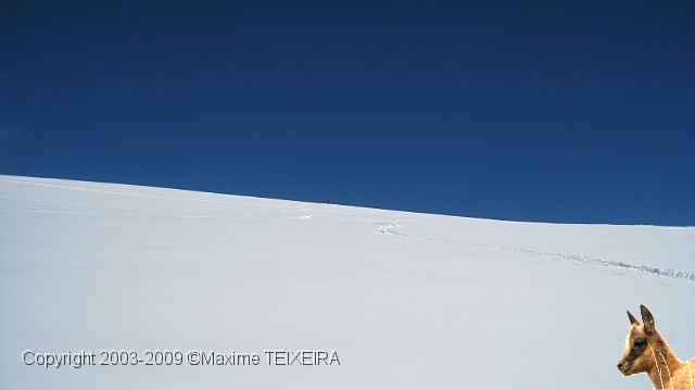 IMG_2495.JPG