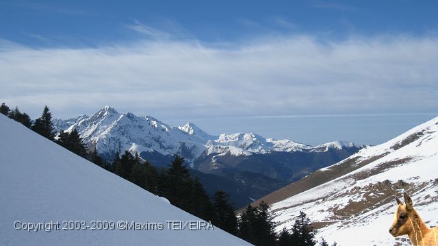IMG_2501.JPG