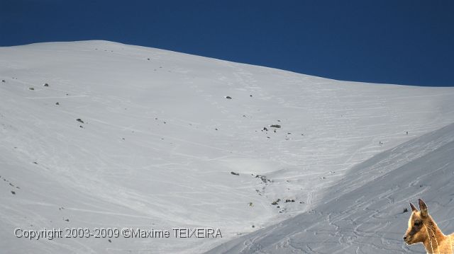 IMG_2502.JPG
