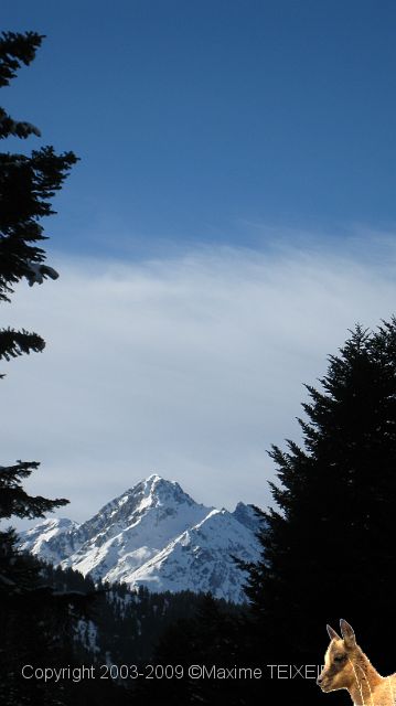 IMG_2507.JPG