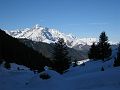 IMG_2374