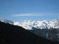 IMG_2390