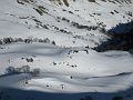 IMG_2459